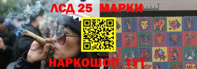 2c-b Новозыбков
