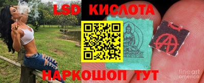 винт Новокубанск