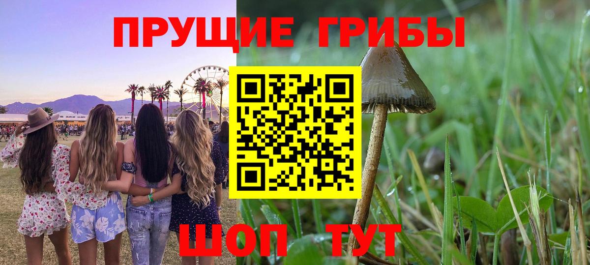 Псилоцибиновые грибы Cubensis  Вход с VPN  Белогорск  Галлюциногенные грибы GOLDEN TEACHER 